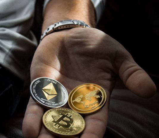Silly Token, P3D Coin ve Stamp: Eğlenceli ve Yenilikçi Kripto Paraların Dünyası cryptohaber.com4
